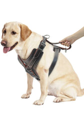 Durable Dog Harness Large Dogs Genuine Leather Harnesses Pet Training Vest with Quick Control Handle for Labrador Pitbull