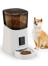 6L Large Capacity Intelligent Wifi Automatic Pet Feeder for Pet Cats Dogs Smart Food Dispenser APP Timer Pet Feeding Bowl