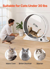 VEVOR Cat Exercise Wheel with Pedometer 40.8