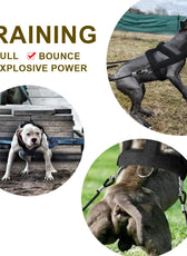 Adjustable Dog Weight Pulling Training Harness Pulling Leash for Medium Large Work Dogs Husky Weight Pulling Harnesses Vest