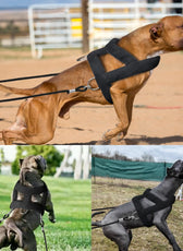 Adjustable Dog Weight Pulling Training Harness Pulling Leash for Medium Large Work Dogs Husky Weight Pulling Harnesses Vest