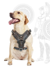 Durable Dog Harness Large Dogs Genuine Leather Harnesses Pet Training Vest with Quick Control Handle for Labrador Pitbull
