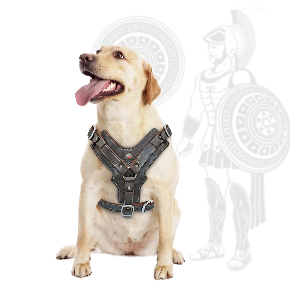 Durable Dog Harness Large Dogs Genuine Leather Harnesses Pet Training Vest with Quick Control Handle for Labrador Pitbull