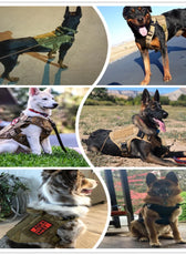 Metal Buckle Tactical Dog Harness MOLLE Pet Train Vest German Shepherd Leash Hound Golden Retriever Labrador Saint Bernard Husky