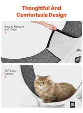 VEVOR Cat Exercise Wheel with Pedometer 40.8